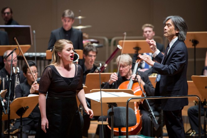 Photo (c) Pascal Amos Rest